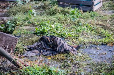 Rudersberg: Kind zuendelt in Scheune - schnelles Eingreifen verhindert schlimmeres